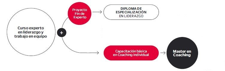 Esquema liderazgo.jpg