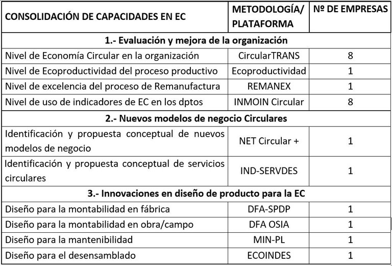 consolidación de capacidades.JPG